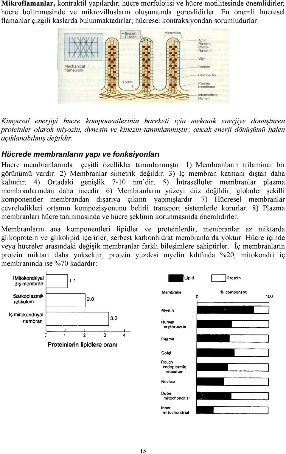 olarak miyozin, dynesin ve kinezin tanımlanmıştır; ancak enerji dönüşümü halen açıklanabilmiş değildir.