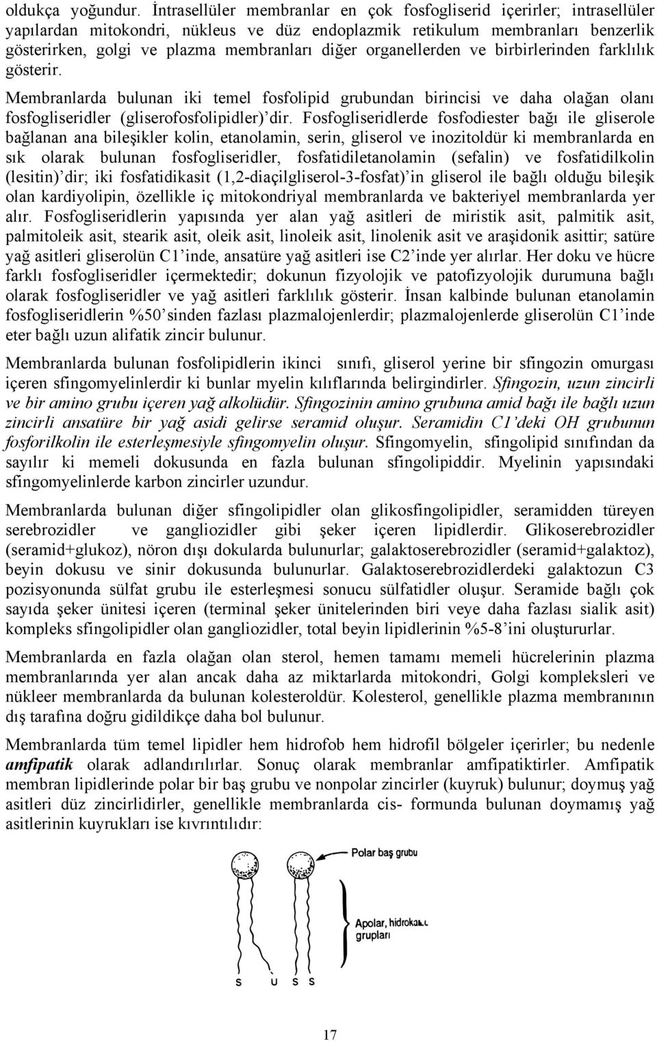 organellerden ve birbirlerinden farklılık gösterir. Membranlarda bulunan iki temel fosfolipid grubundan birincisi ve daha olağan olanı fosfogliseridler (gliserofosfolipidler) dir.