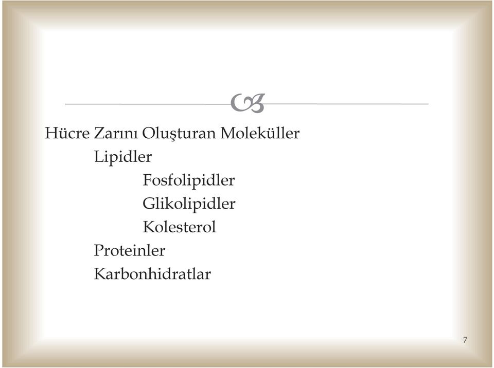 Proteinler Fosfolipidler