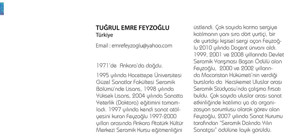 1997 yılında kendi sanat atölyesini kuran Feyzoğlu 1997-2000 yılları arasında Ankara Atatürk Kültür Merkezi Seramik Kursu eğitmenliğini üstlendi.