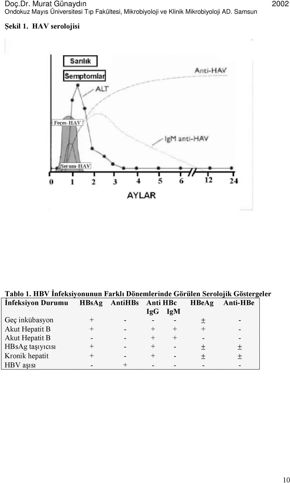 Durumu HBsAg AntiHBs Anti HBc HBeAg Anti-HBe IgG IgM Geç inkübasyon + - - - ± -