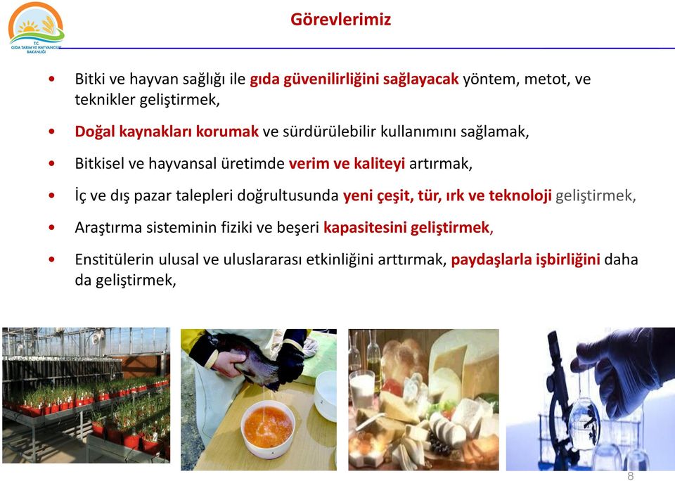 dış pazar talepleri doğrultusunda yeni çeşit, tür, ırk ve teknoloji geliştirmek, Araştırma sisteminin fiziki ve beşeri