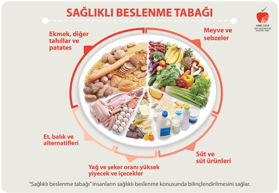 yiyecek ve içecekler Süt ve süt ürünleri Sağlıklı beslenme tabağı