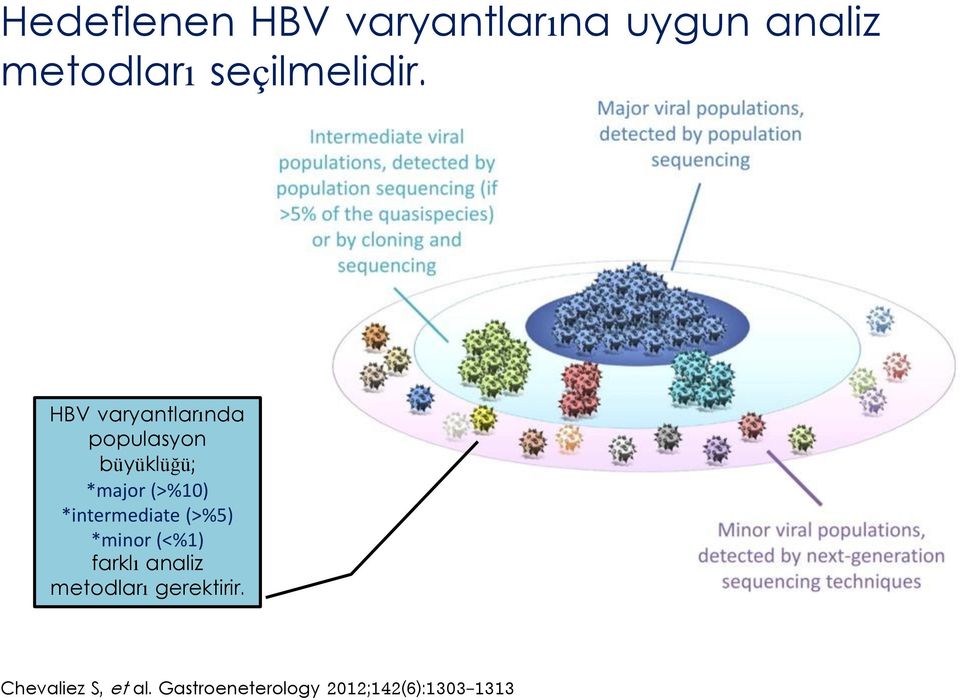 HBV varyantlarında populasyon büyüklüğü; *major (>%10)