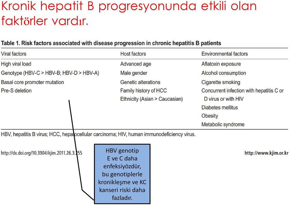 HBV genotip E ve C daha enfeksiyözdür,