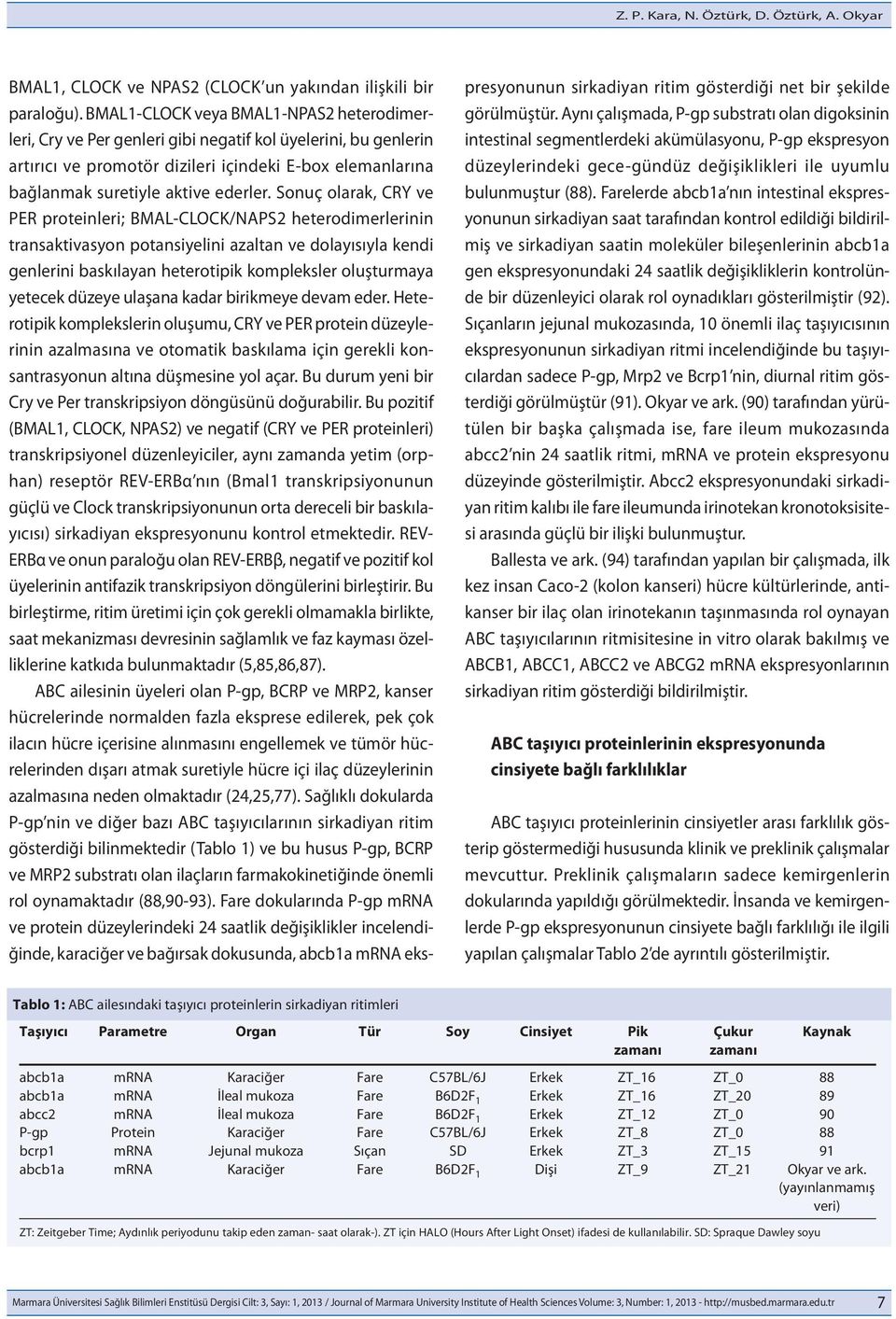 Sonuç olarak, CRY ve PER proteinleri; BMAL-CLOCK/NAPS2 heterodimerlerinin transaktivasyon potansiyelini azaltan ve dolayısıyla kendi genlerini baskılayan heterotipik kompleksler oluşturmaya yetecek