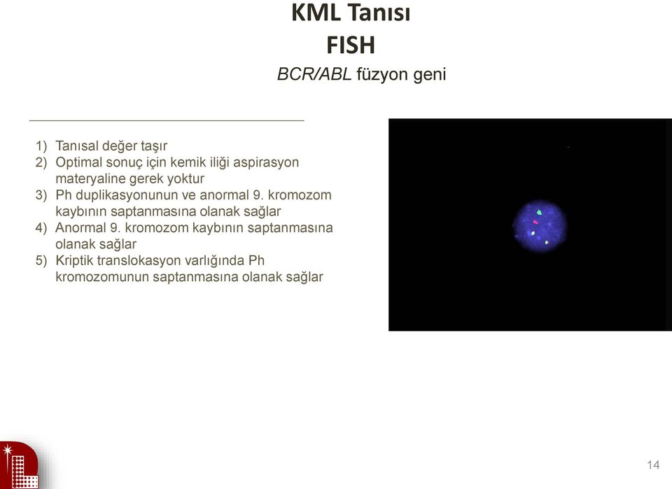 kromozom kaybının saptanmasına olanak sağlar 4) Anormal 9.