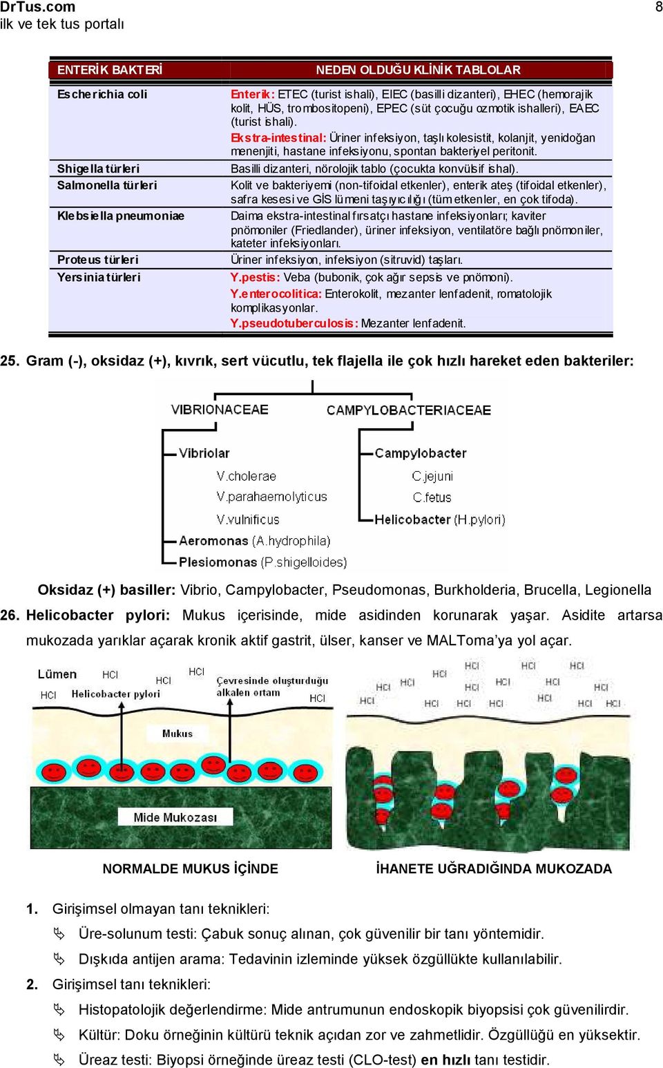 Ekstra-intestinal: Üriner infeksiyon, taşlı kolesistit, kolanjit, yenidoğan menenjiti, hastane infeksiyonu, spontan bakteriyel peritonit. Basilli dizanteri, nörolojik tablo (çocukta konvülsif ishal).