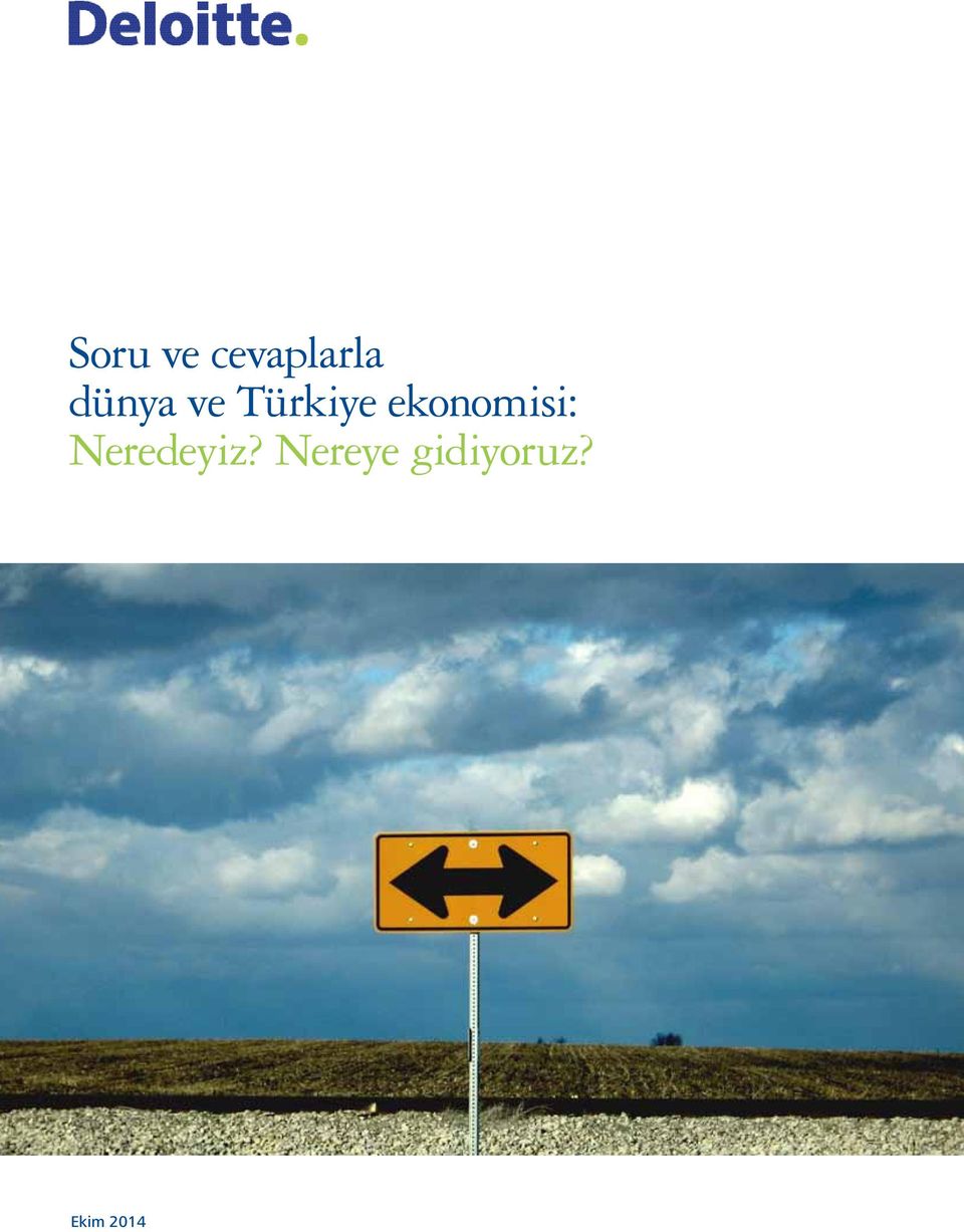 ekonomisi: Neredeyiz?