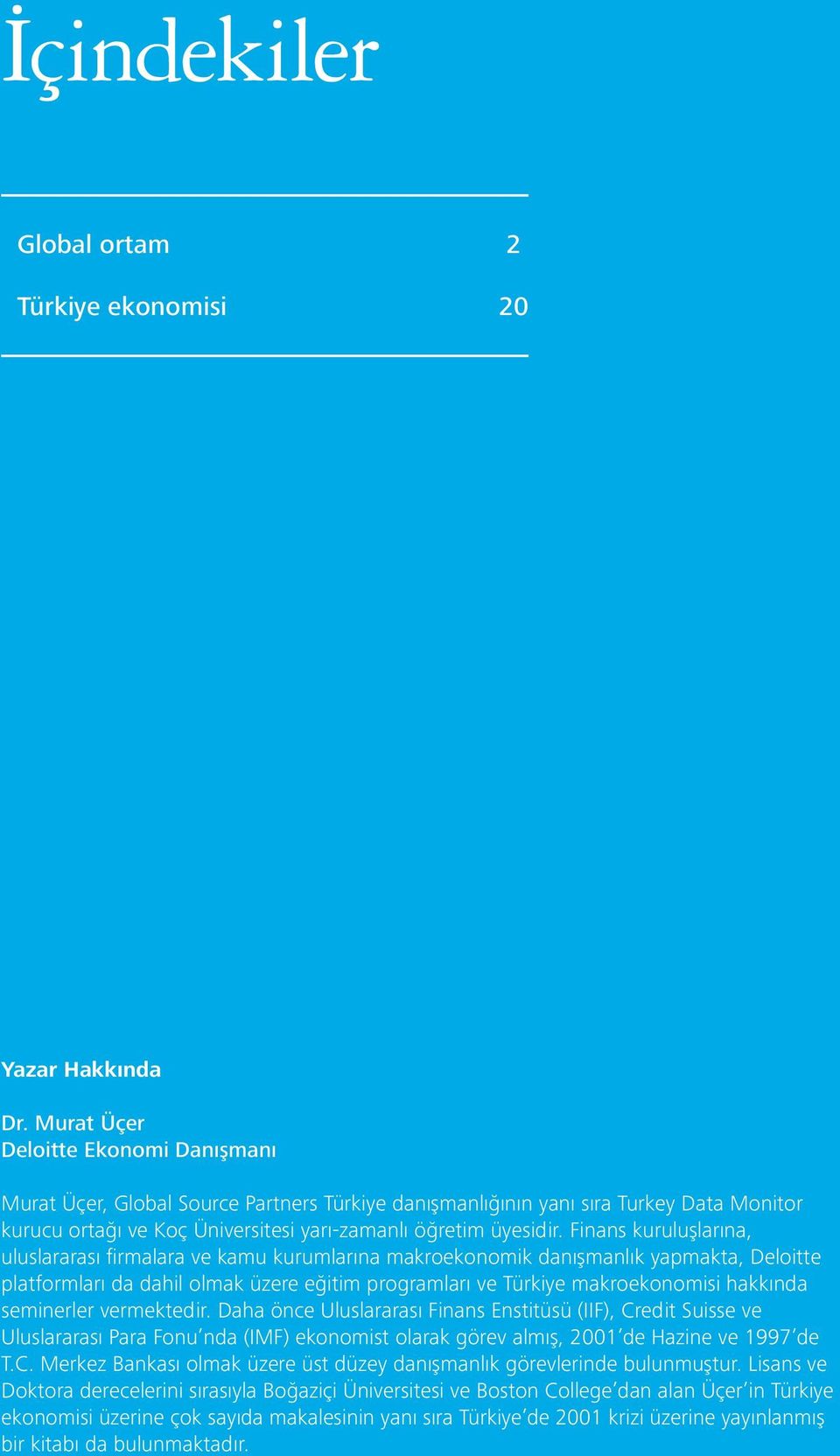 Finans kuruluşlarına, uluslararası firmalara ve kamu kurumlarına makroekonomik danışmanlık yapmakta, Deloitte platformları da dahil olmak üzere eğitim programları ve Türkiye makroekonomisi hakkında