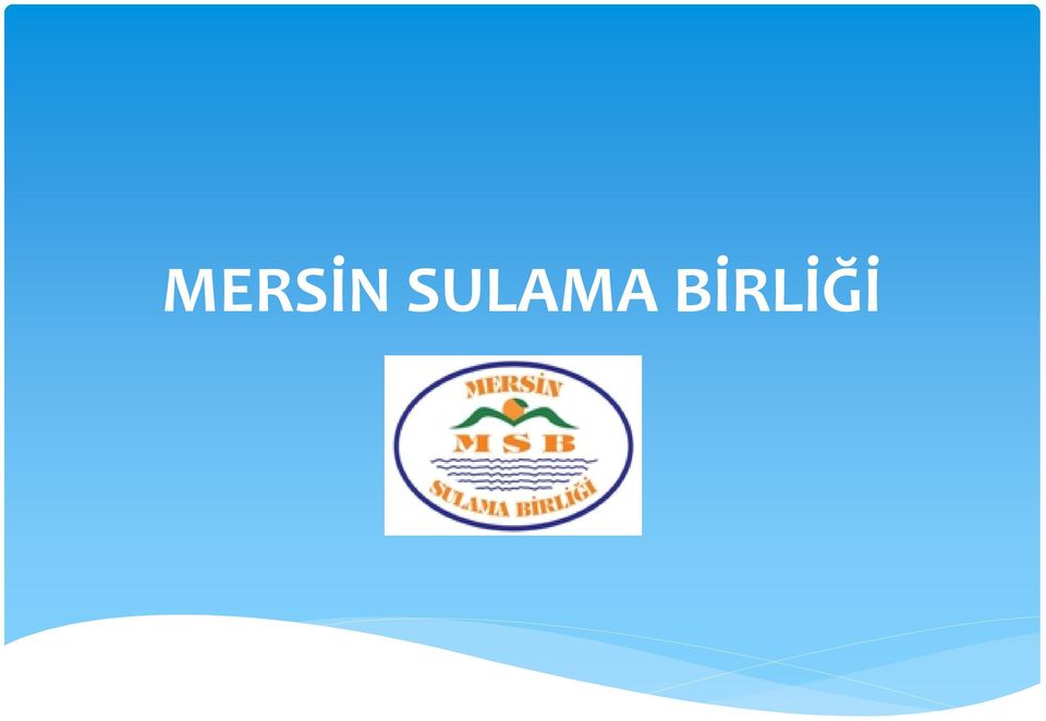 BİRLİĞİ