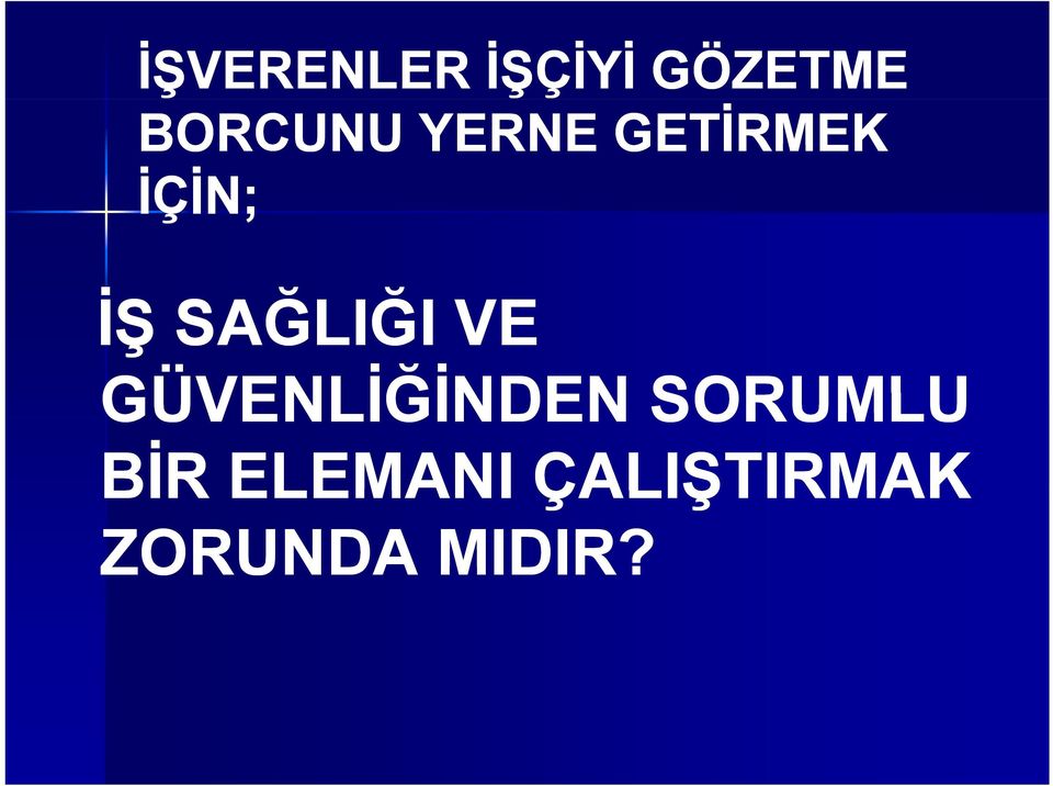 Ğ VE GÜVENLİĞİNDEN SORUMLU BİR