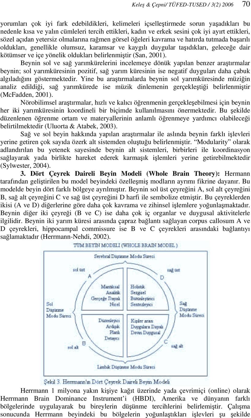 dair kötümser ve içe yönelik oldukları belirlenmiştir (San, 2001).