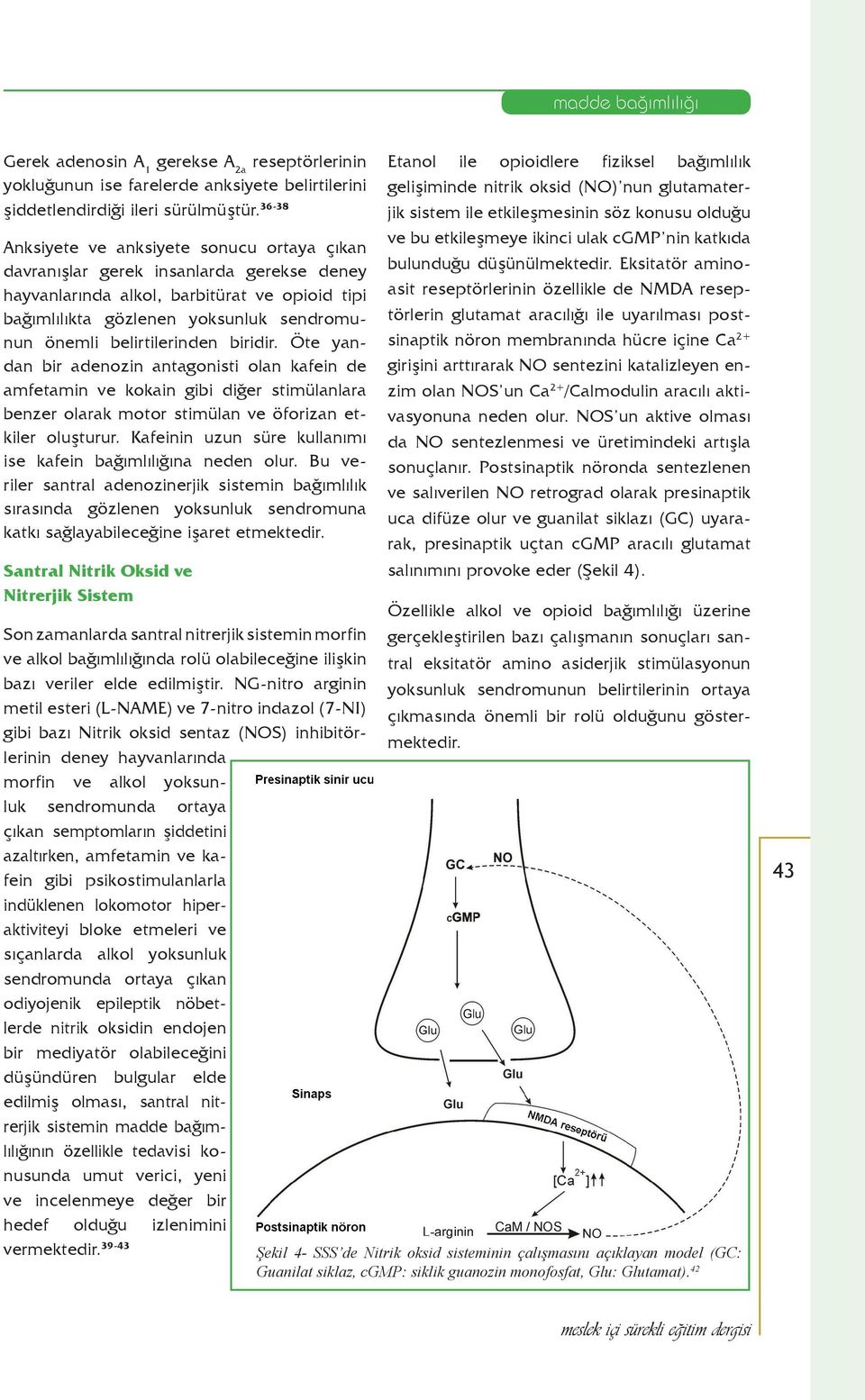 belirtilerinden biridir. Öte yandan bir adenozin antagonisti olan kafein de amfetamin ve kokain gibi diğer stimülanlara benzer olarak motor stimülan ve öforizan etkiler oluşturur.