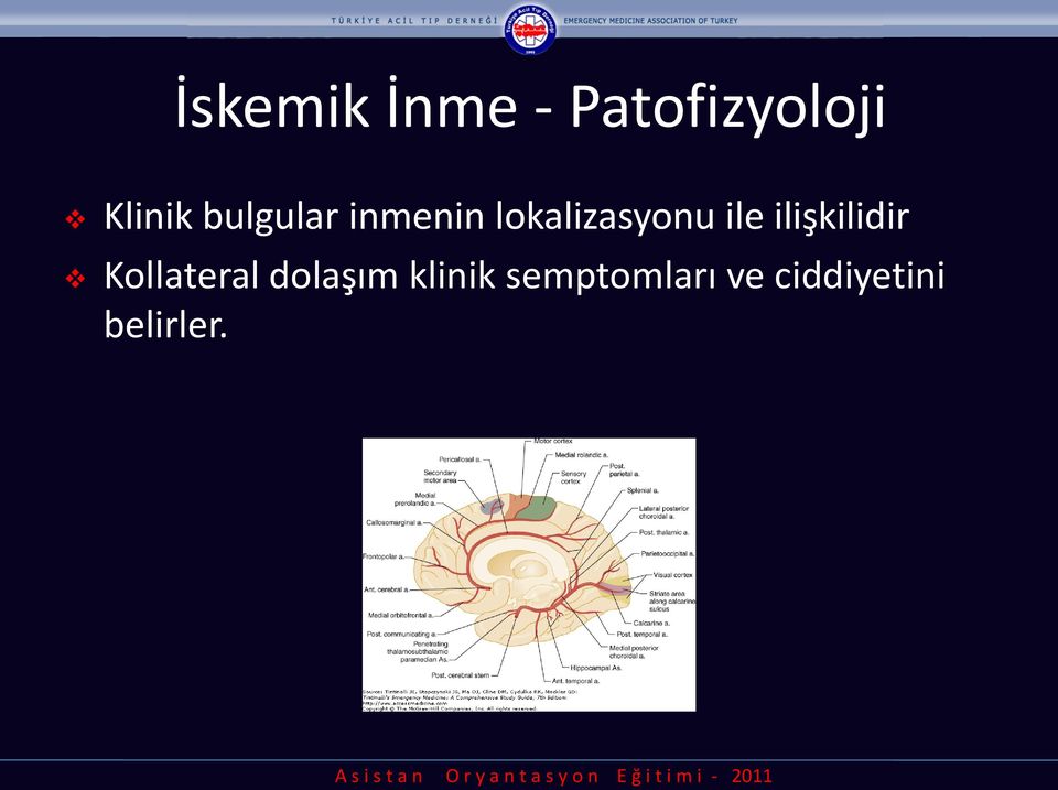 ilişkilidir Kollateral dolaşım