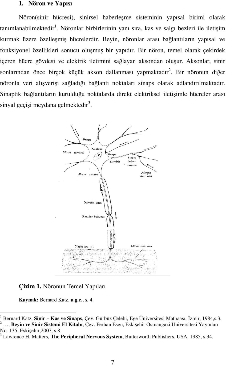 Beyin, nöronlar arası bağlantıların yapısal ve fonksiyonel özellikleri sonucu oluşmuş bir yapıdır. Bir nöron, temel olarak çekirdek içeren hücre gövdesi ve elektrik iletimini sağlayan aksondan oluşur.