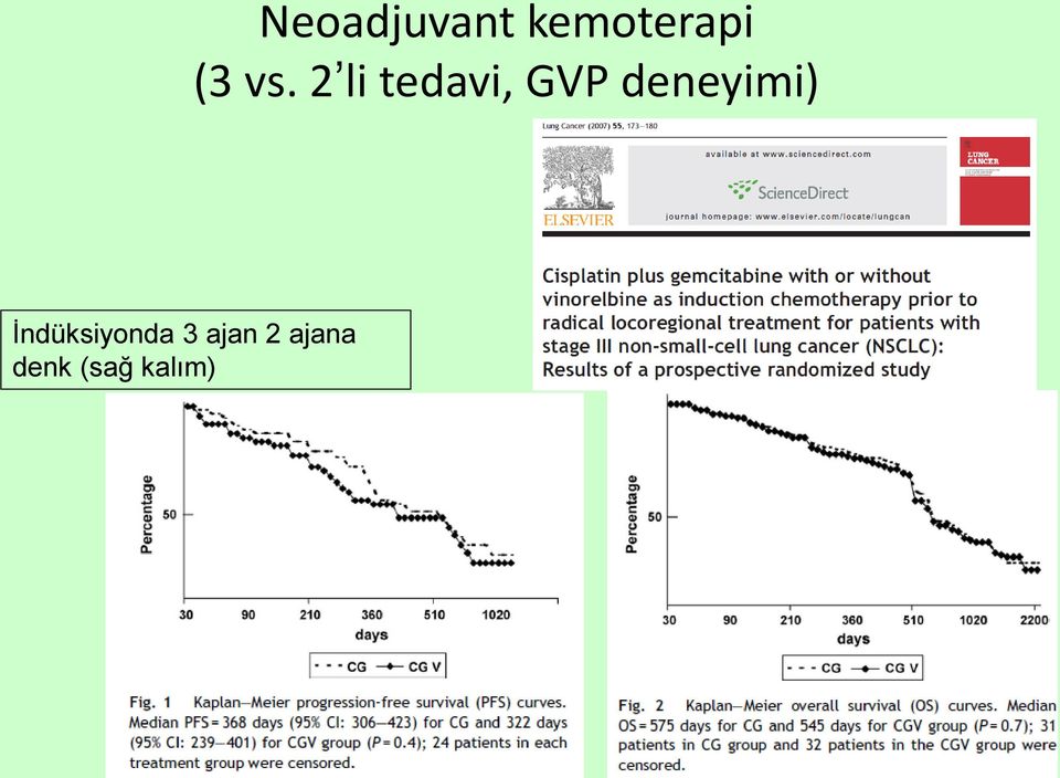 Neoadjuvant kemoterapi (3