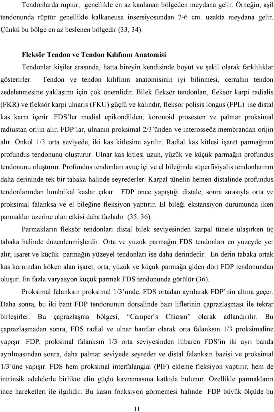 Tendon ve tendon kılıfının anatomisinin iyi bilinmesi, cerrahın tendon zedelenmesine yaklaşımı için çok önemlidir.