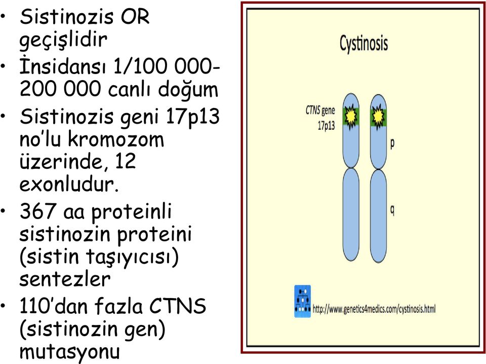 exonludur.