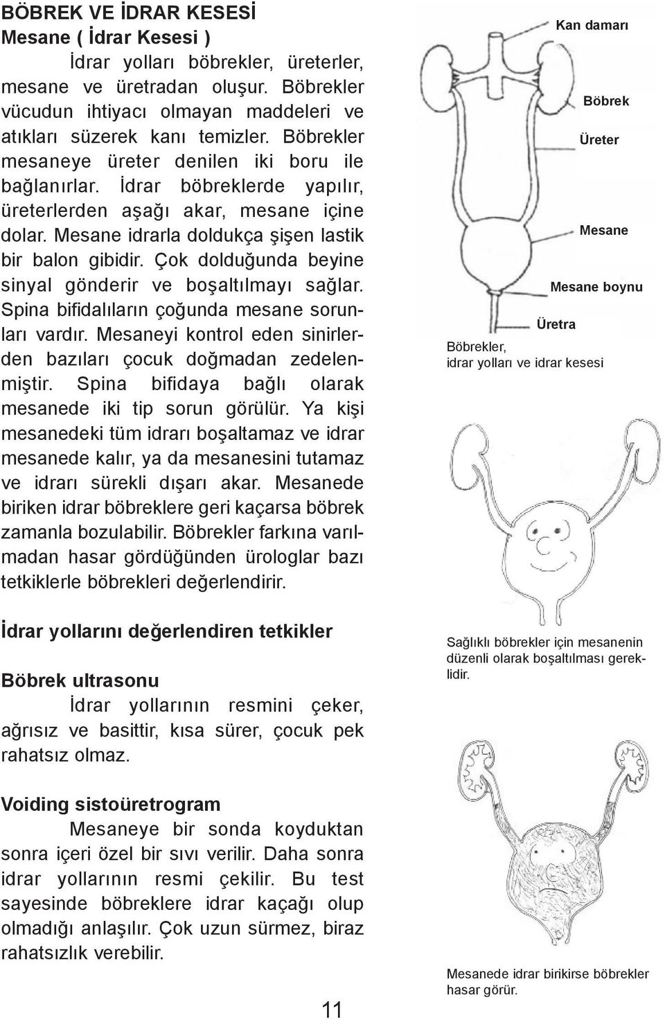 Çok dolduðunda beyine sinyal gönderir ve boþaltýlmayý saðlar. Spina bifidalýlarýn çoðunda mesane sorunlarý vardýr. Mesaneyi kontrol eden sinirlerden bazýlarý çocuk doðmadan zedelenmiþtir.