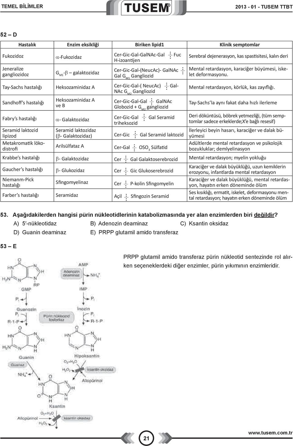 Tay-Sachs hastalığı Heksozaminidaz A Cer-Gic-Gal-( NeucAc) : : Gal- Mental retardasyon, körlük, kas zayıflığı.