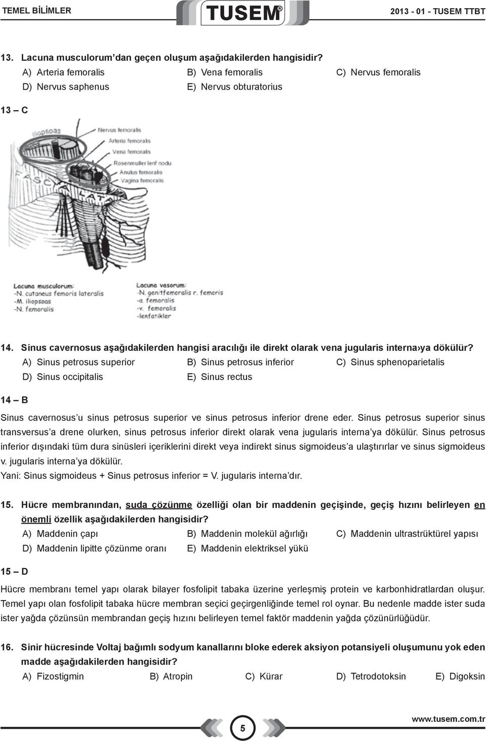 Sinus cavernosus aşağıdakilerden hangisi aracılığı ile direkt olarak vena jugularis interna ya dökülür?