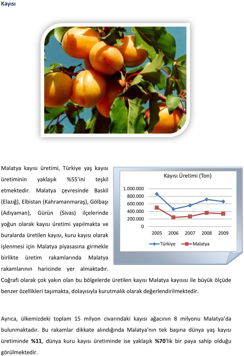 işlenmesi için Malatya piyasasına girmekle birlikte üretim rakamlarında Malatya rakamlarının haricinde yer almaktadır. 1.000.000 800.000 600.000 400.000 200.