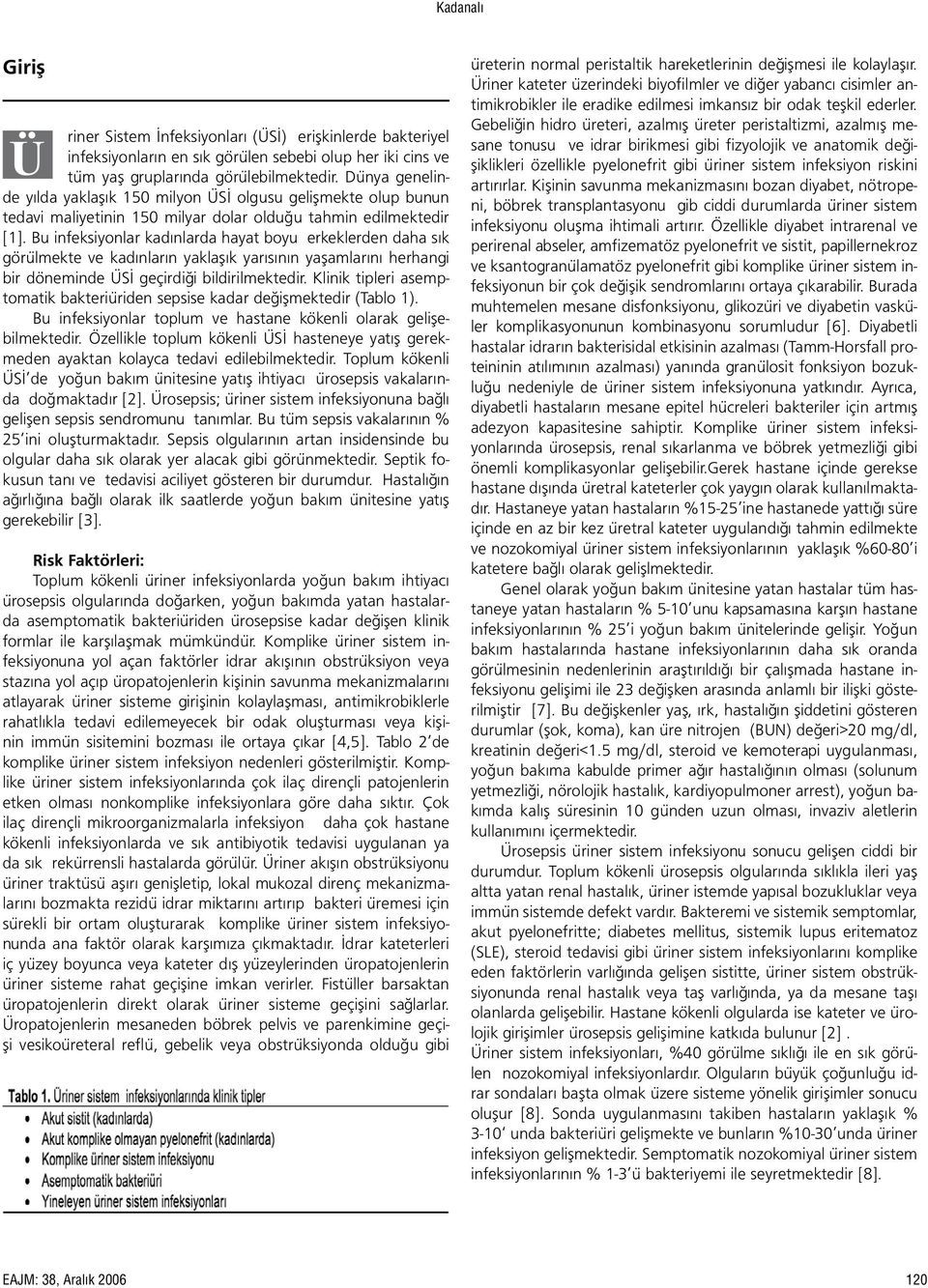 Bu infeksiyonlar kadınlarda hayat boyu erkeklerden daha sık görülmekte ve kadınların yaklaşık yarısının yaşamlarını herhangi bir döneminde ÜSİ geçirdiği bildirilmektedir.