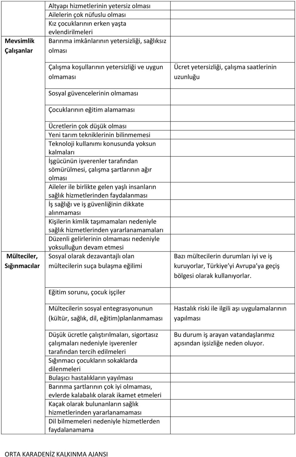 bilinmemesi Teknoloji kullanımı konusunda yoksun kalmaları İşgücünün işverenler tarafından sömürülmesi, çalışma şartlarının ağır Aileler ile birlikte gelen yaşlı insanların sağlık hizmetlerinden