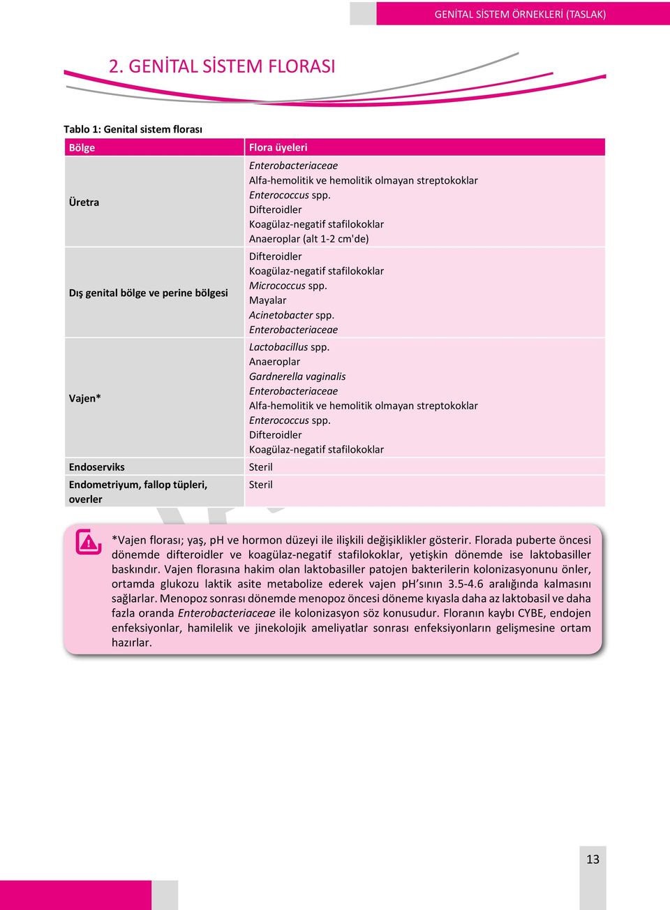 Alfa-hemolitik ve hemolitik olmayan streptokoklar Enterococcus spp. Difteroidler Koagülaz-negatif stafilokoklar Anaeroplar (alt 1-2 cm'de) Difteroidler Koagülaz-negatif stafilokoklar Micrococcus spp.