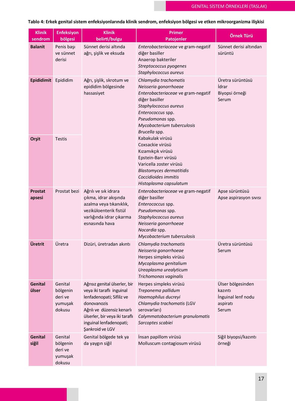 Ağrılı ve sık idrara çıkma, idrar akışında azalma veya tıkanıklık, veziküloenterik fistül varlığında idrar çıkarma esnasında hava Primer Patojenler Enterobacteriaceae ve gram-negatif diğer basiller