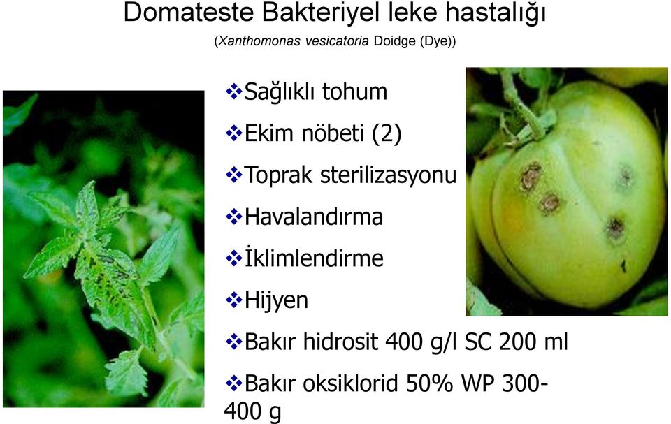 Toprak sterilizasyonu Havalandırma İklimlendirme Hijyen