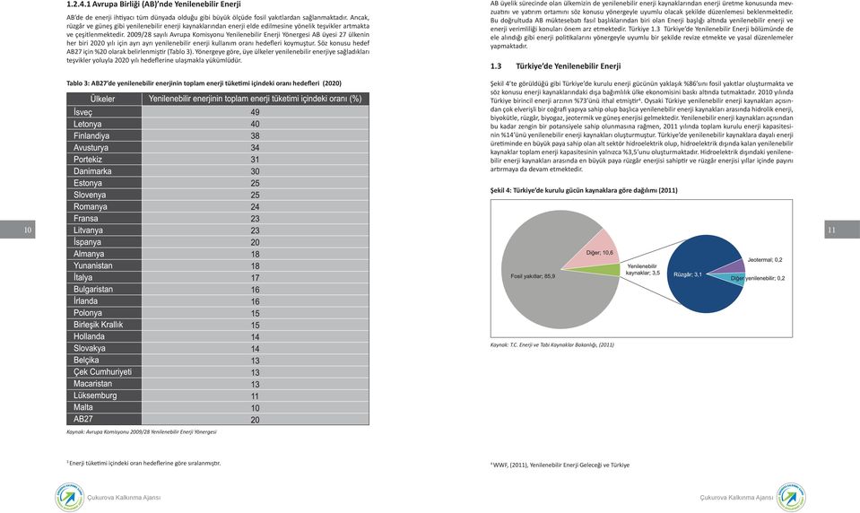 2009/28 sayılı Avrupa Komisyonu Yenilenebilir Enerji Yönergesi AB üyesi 27 ülkenin her biri 2020 yılı için ayrı ayrı yenilenebilir enerji kullanım oranı hedefleri koymuştur.