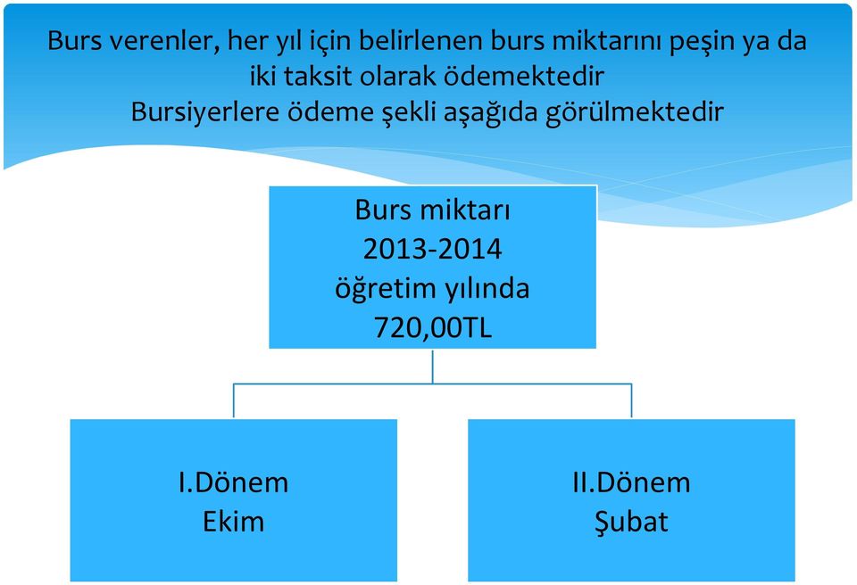 ödeme şekli aşağıda görülmektedir Burs miktarı