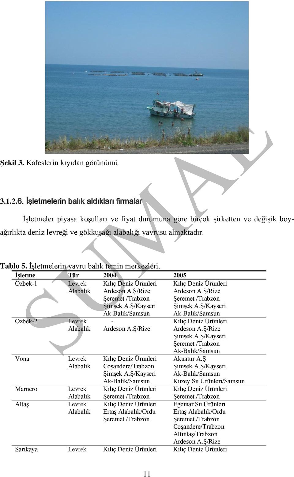 İşletmelerin yavru balık temin merkezleri. İşletme Tür 24 25 Özbek-1 Levrek Kılıç Deniz Ürünleri Kılıç Deniz Ürünleri Alabalık Ardeson A.Ş/Rize Ardeson A.