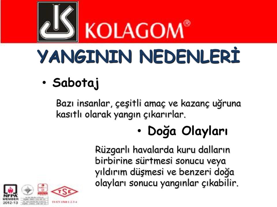 Doğa Olayları Rüzgarlı havalarda kuru dalların birbirine