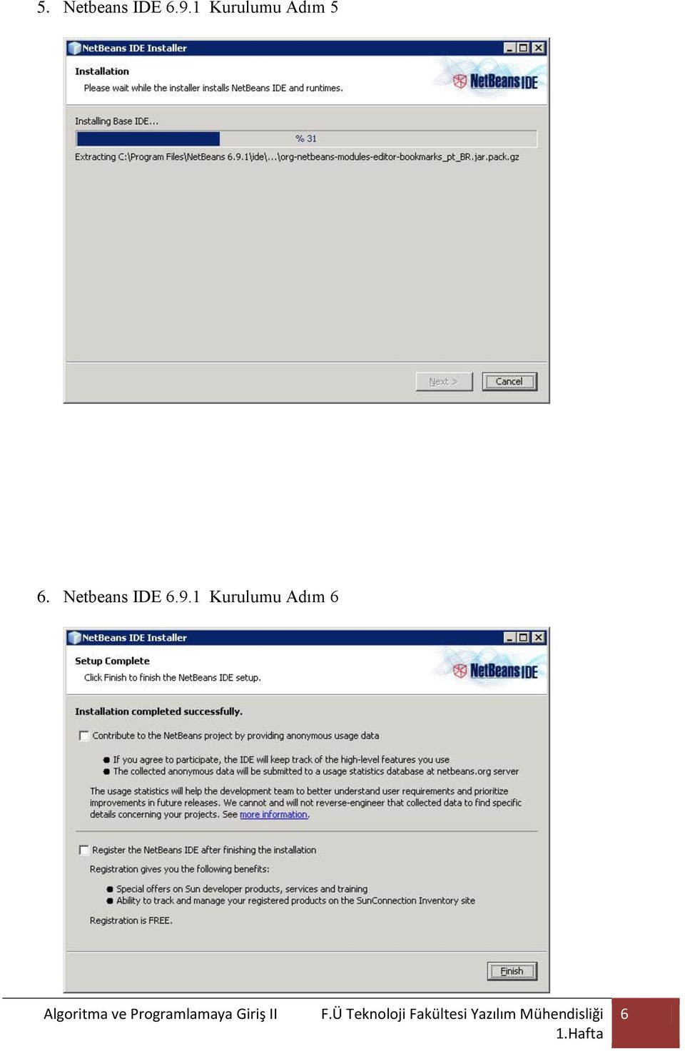 Netbeans IDE 6.9.