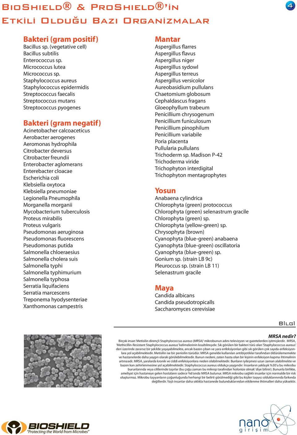 hydrophila Citrobacter deversus Citrobacter freundii Enterobacter aglomerans Enterebacter cloacae Escherichia coli Klebsiella oxytoca Klebsiella pneumoniae Legionella Pneumophila Morganella morganii