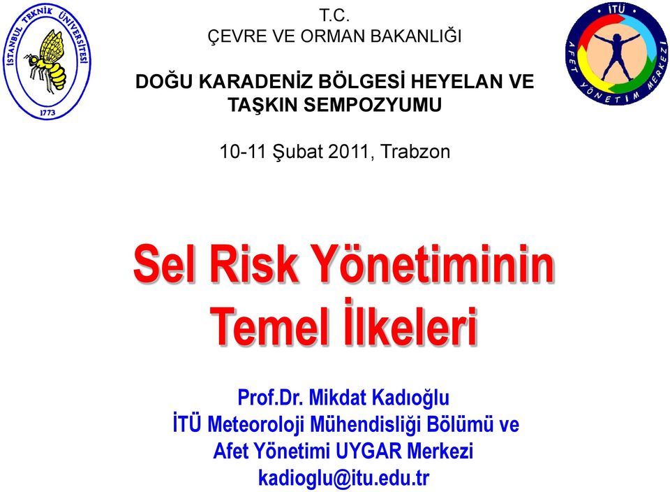 Yönetiminin Temel İlkeleri Prof.Dr.