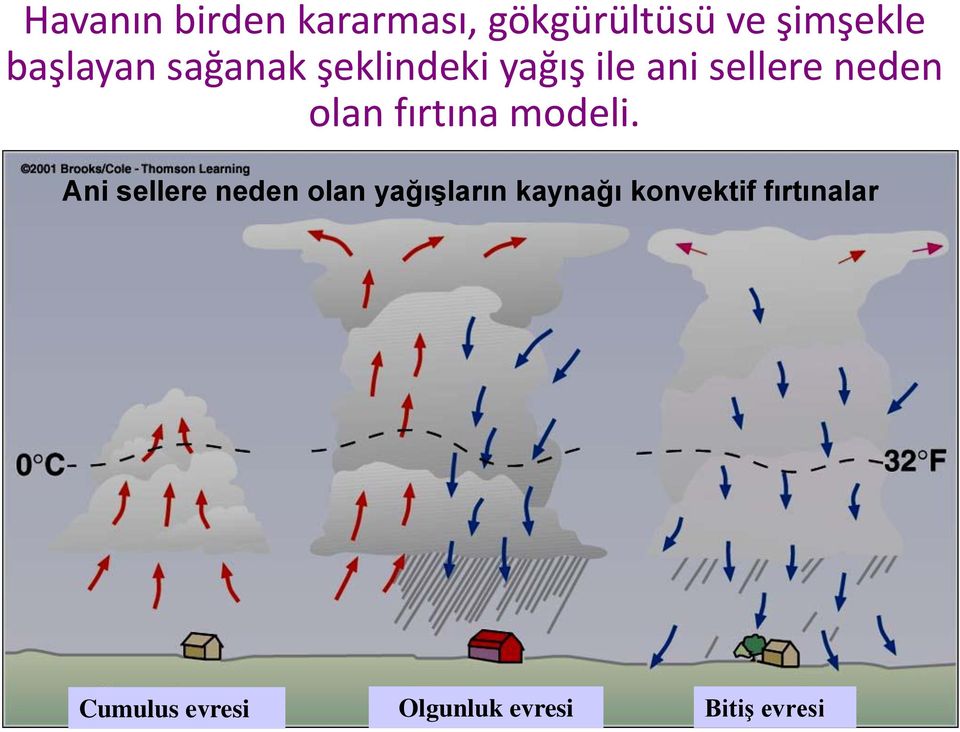 olan fırtına modeli.