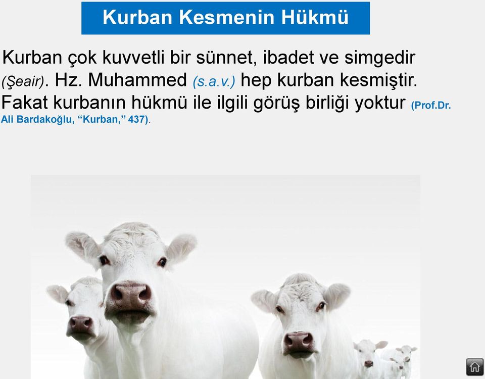 Fakat kurbanın hükmü ile ilgili görüş birliği yoktur