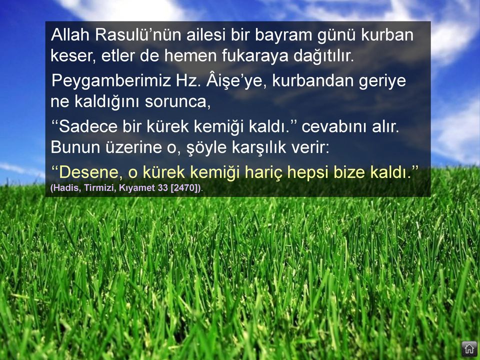 Âişe ye, kurbandan geriye ne kaldığını sorunca, Sadece bir kürek kemiği kaldı.