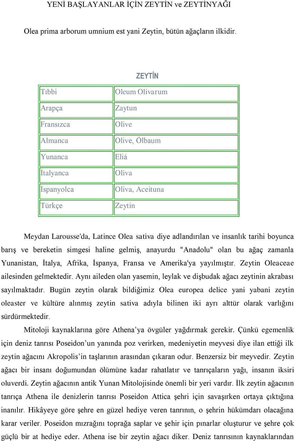 adlandırılan ve insanlık tarihi boyunca barış ve bereketin simgesi haline gelmiş, anayurdu "Anadolu" olan bu ağaç zamanla Yunanistan, İtalya, Afrika, İspanya, Fransa ve Amerika'ya yayılmıştır.