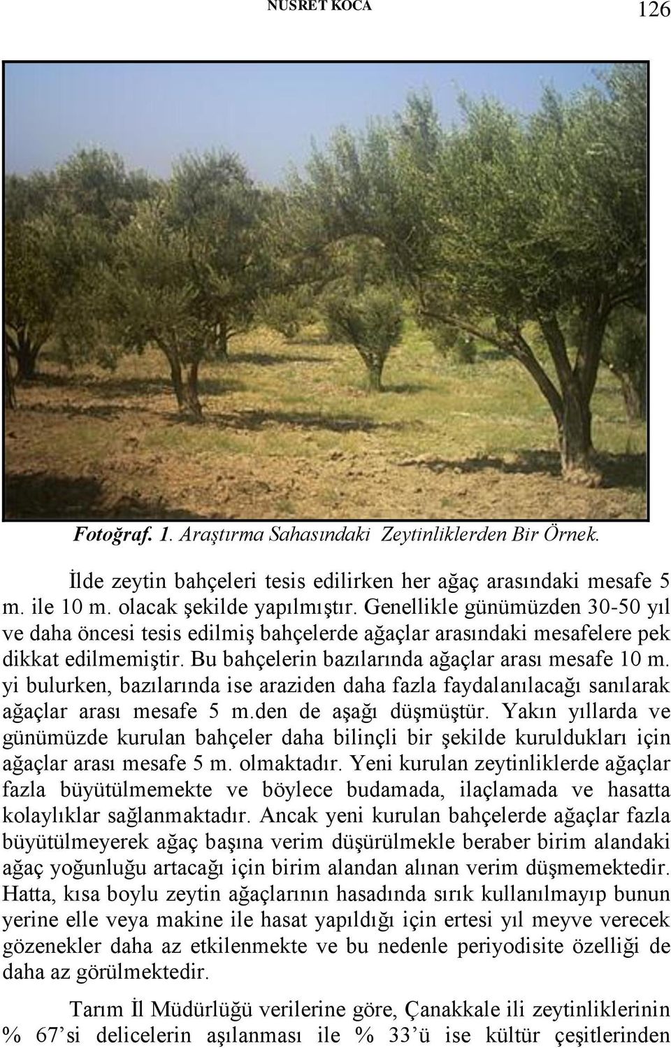 yi bulurken, bazılarında ise araziden daha fazla faydalanılacağı sanılarak ağaçlar arası mesafe 5 m.den de aşağı düşmüştür.