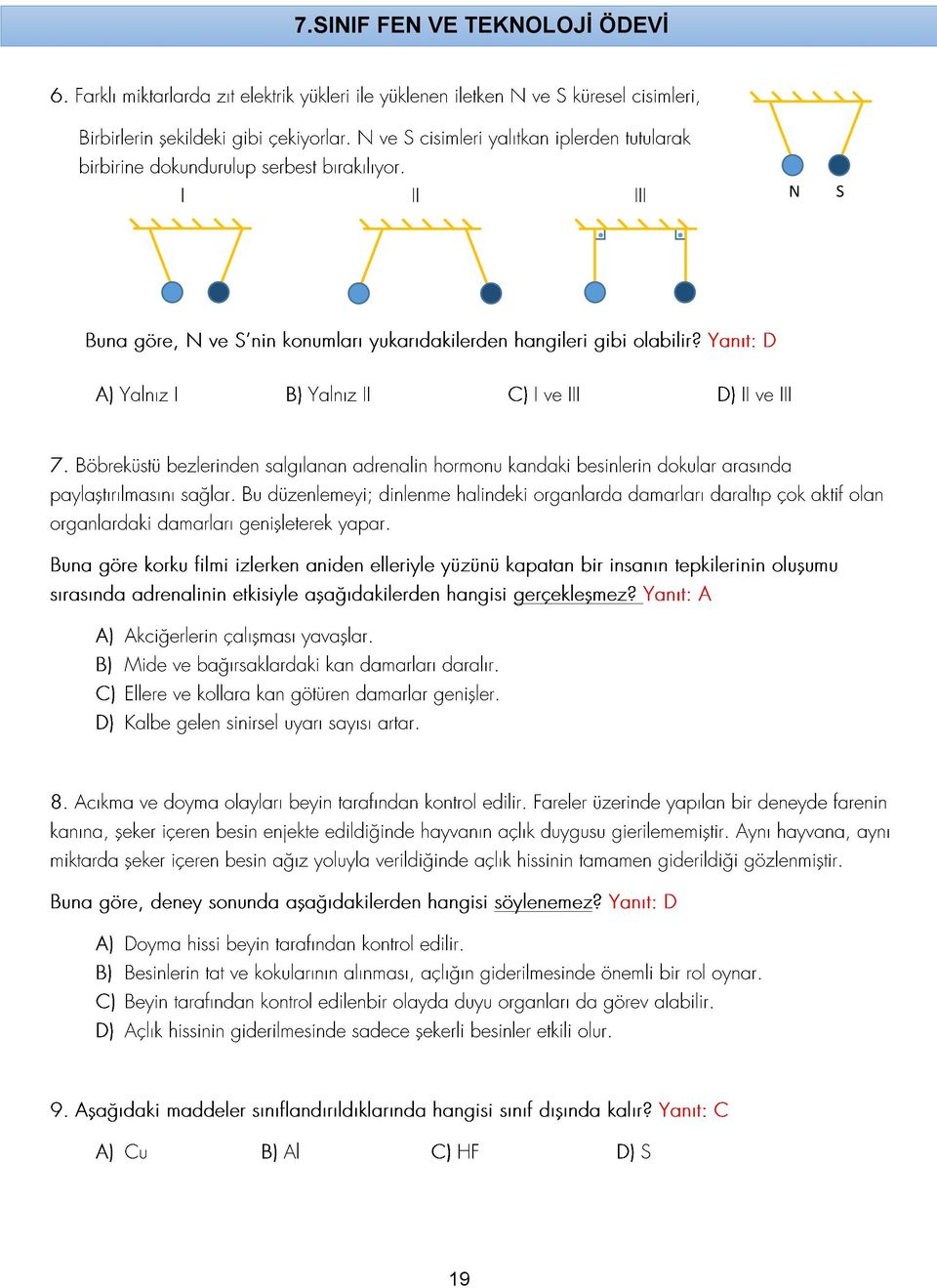 TEKNOLOJİ