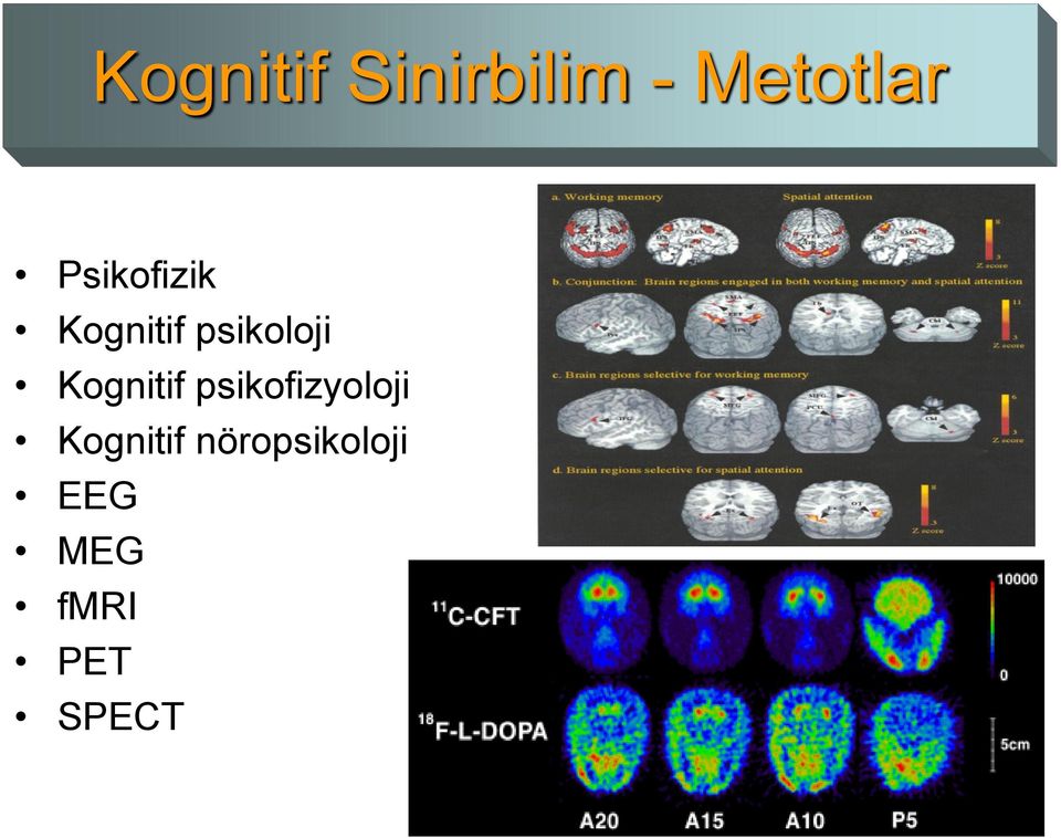 Kognitif psikofizyoloji Kognitif