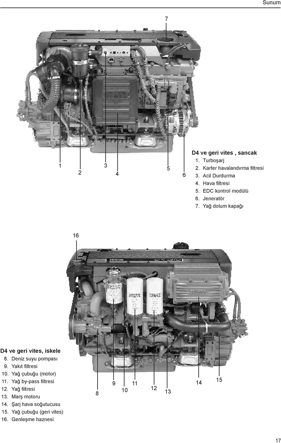 Yağ dolum kapağı 16 D4 ve geri vites, iskele 8. Deniz suyu pompası 9. Yakıt filtresi 10.