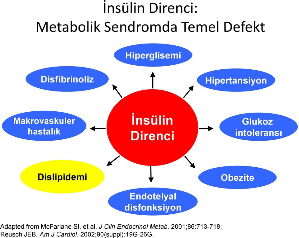 Dislipidemi Endotelyal disfonksiyon Obezite Adapted from McFarlane SI, et al.