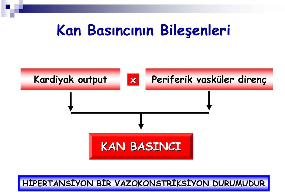 vasküler direnç KAN BASINCI