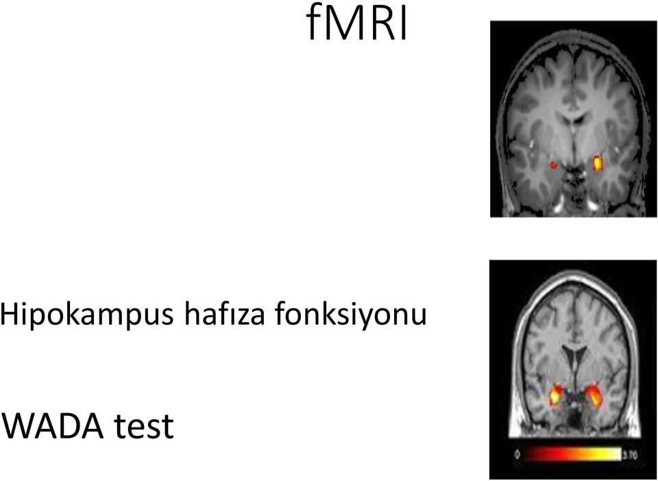 hafıza